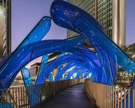 Light Vortex Bridge